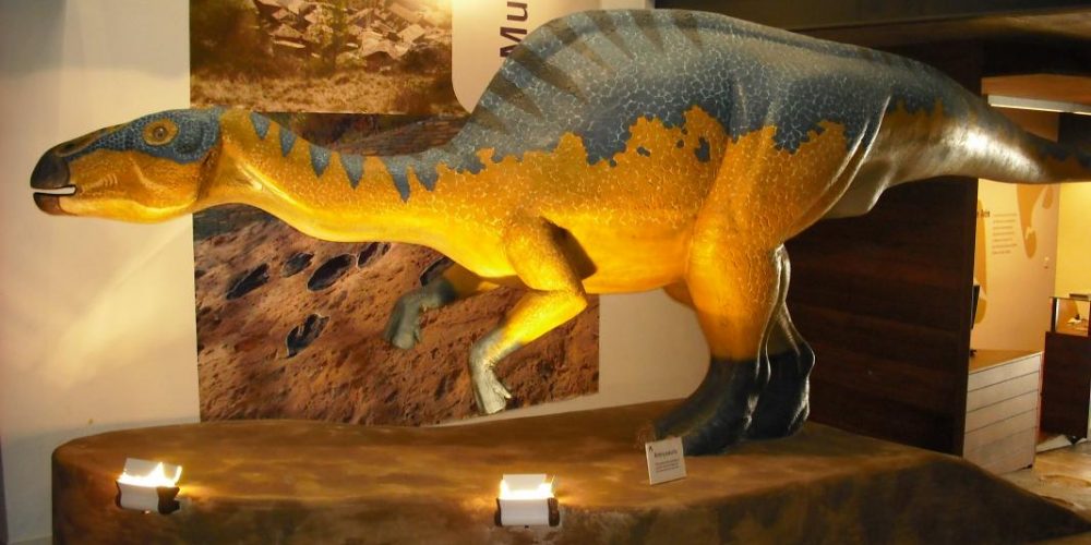 Museo de Dinosaurios de Arén